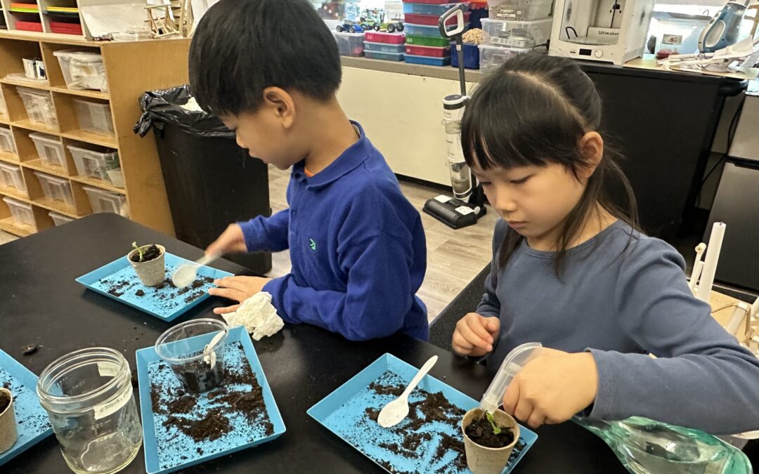 Springtime Exploration in Science: Planets, Plants, & Insects