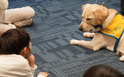 Exploring Communities: A Year of Discovery in Second Grade